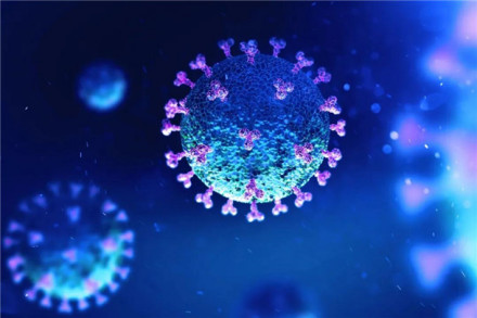 冠状病毒渲染图 冠状病毒渲染图
