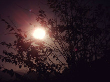 诗歌《梦里梦外》配图 诗歌《梦里梦外》配图