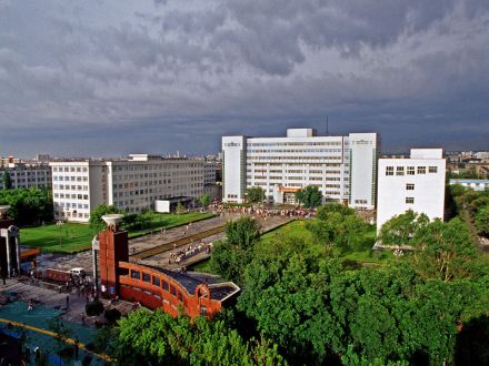新疆大学 新疆大学