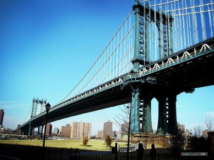 布鲁克林区 布鲁克林区