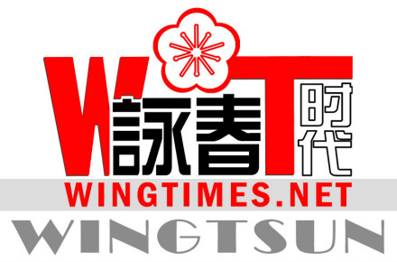 中国武术之一 中国武术之一