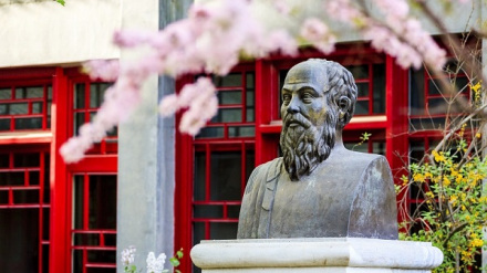 燕园春景 燕园春景