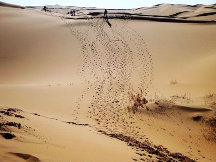 库布齐沙漠 库布齐沙漠