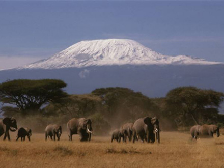 恩戈托森林 恩戈托森林