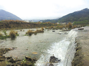 大堰,散落着7家精品民宿 大堰,散落着7家精品民宿