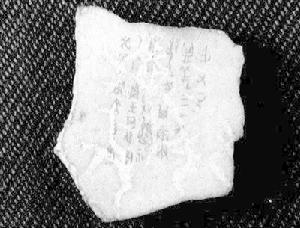 刻字卜骨 刻字卜骨