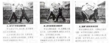 虎鹤双形拳图解 虎鹤双形拳图解