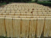 云安特产 云安特产