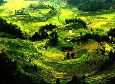 大熊山森林公园 大熊山森林公园