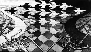 图知觉的选择性—2 图知觉的选择性—2