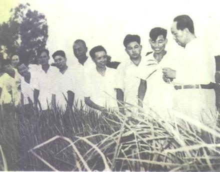 1958年8月9日毛泽东视察北园乡水屯村 1958年8月9日毛泽东视察北园乡水屯村