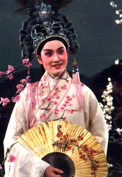 《盘妻索妻》王君安饰梁玉书 《盘妻索妻》王君安饰梁玉书