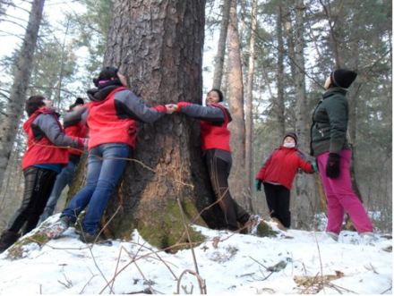 梅花山森林公园-千年古树 梅花山森林公园-千年古树
