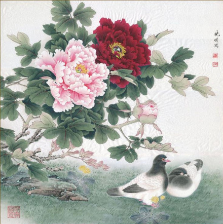 洛阳牡丹 洛阳牡丹