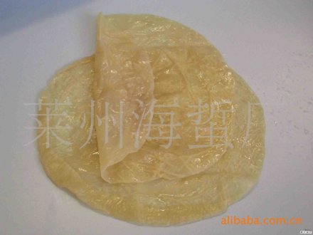 晒干的海蜇皮 晒干的海蜇皮