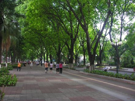 新会公园路 新会公园路