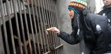 莫文蔚担任“拯救黑熊爱心大使” 莫文蔚担任“拯救黑熊爱心大使”