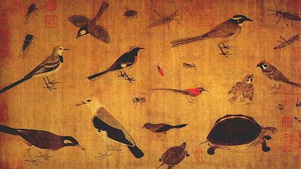 五代 黄荃《写生珍禽图》 五代 黄荃《写生珍禽图》