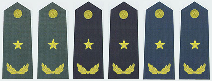 陆海空军少将常服肩章(2007～)