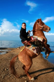 杨子照片 杨子照片