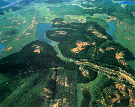 江南丘陵 江南丘陵