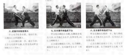 虎鹤双形拳图解 虎鹤双形拳图解