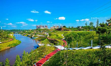 中滩湿地公园 中滩湿地公园