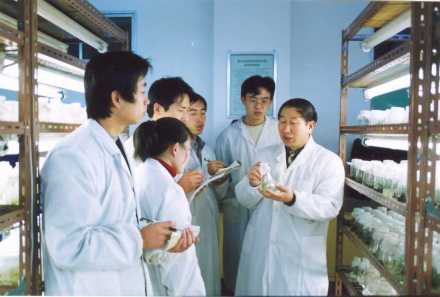 科学实验 科学实验