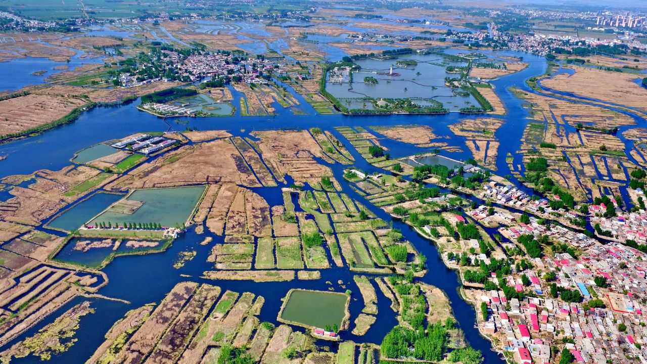 白洋淀东端赵北口一带湖面