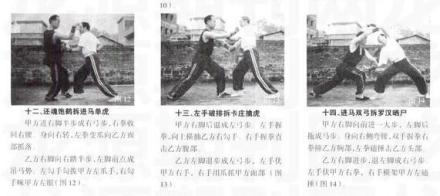 虎鹤双形拳图解 虎鹤双形拳图解