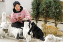 中国作家蒋子丹 中国作家蒋子丹