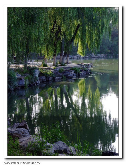 北大燕园 北大燕园