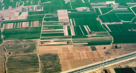 邙山东汉陪葬墓群
邙山东汉陪葬墓群