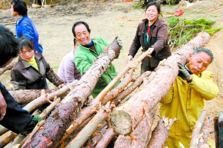 财力、物力 财力、物力