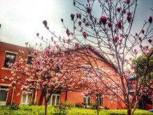 上海理工大学校园风景