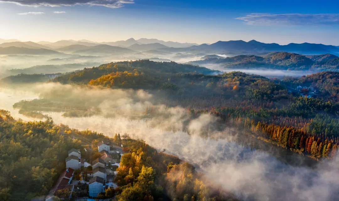 层林尽染 层林尽染
