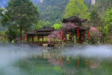 酉阳桃花源 酉阳桃花源