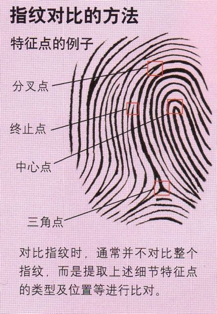 图1 指纹 图1 指纹