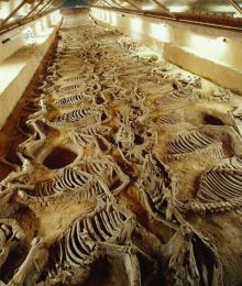 旅游景点 旅游景点