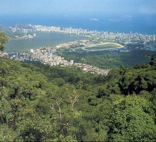 远眺里约热内卢 远眺里约热内卢