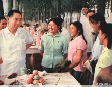 知识青年 知识青年