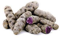 加那利群岛出产的马铃薯 加那利群岛出产的马铃薯