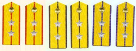 陆、海、空军中尉常服肩章(1988~2007) 陆、海、空军中尉常服肩章(1988~2007)