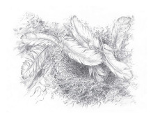 《万物归一》插画 《万物归一》插画