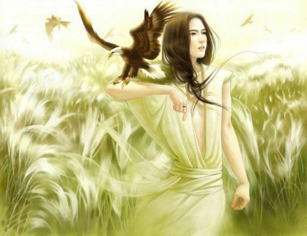 独孤求败 独孤求败