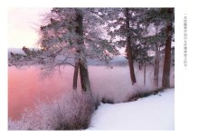 精美明信片 精美明信片