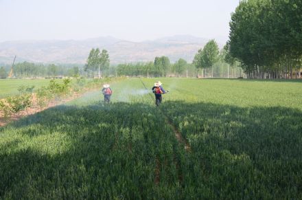 卢氏县农村 卢氏县农村