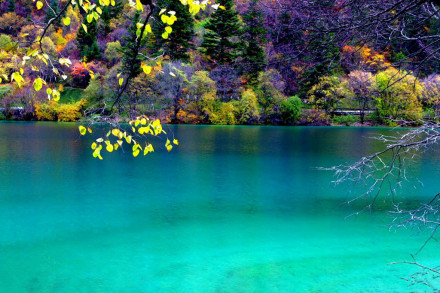 平武县风景
平武县风景