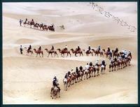 鄂尔多斯响沙湾 鄂尔多斯响沙湾