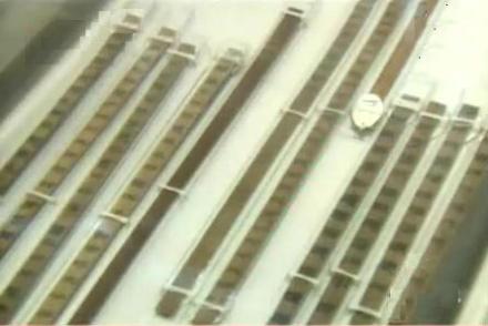 北大竹简本《老子》 北大竹简本《老子》